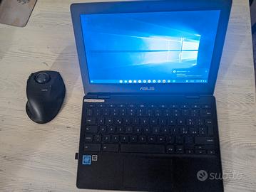 Asus Chromebook C204m
