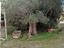 Immagine 6