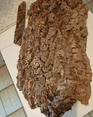 corteccia di vero sughero naturale.  