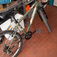 bicicletta 24