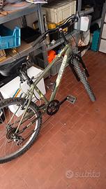 bicicletta 24