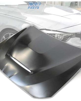 COFANO BMW F10 F11 LOOK GTS METALLO