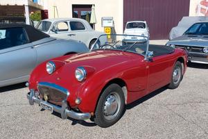 Austin Healey Sprite Frog Eye del 1958