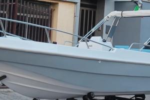 Barca Open + carrello + access. (no motore)