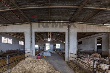 Azienda Agricola - Ragusa