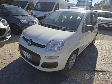 FIAT Panda 1.0 FireFly S&S Hybrid Eas 5 posti no