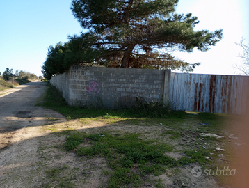 Terreno agricolo edificatorio