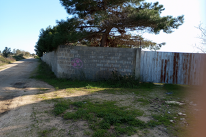 Terreno agricolo edificatorio