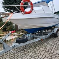 BELINGARDO 550