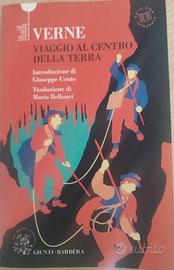 libro narrativa "Viaggio al centro della terra"