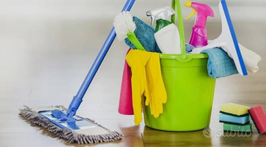 Pulizie domestiche