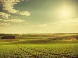 Terreno di 1700 m² a Lonato del Garda