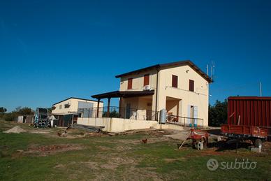 Terreno agricolo con rustico