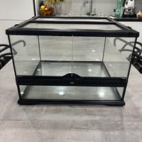 terrario per rettili