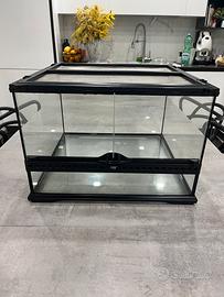 terrario per rettili