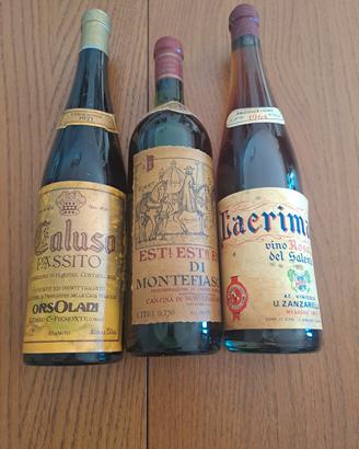 Bottiglie Vino