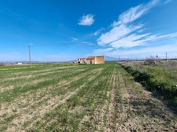 Seminativo irriguo in territorio di Ramacca