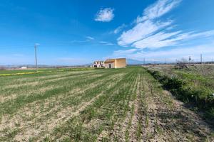 Seminativo irriguo in territorio di Ramacca