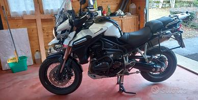 triumph tiger 1200 xc