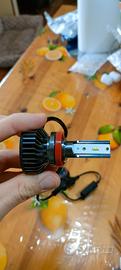lampade led H11 Honda Hornet 