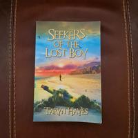I cercatori del ragazzo perduto Libro