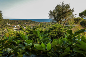 Appartamento in Cilento