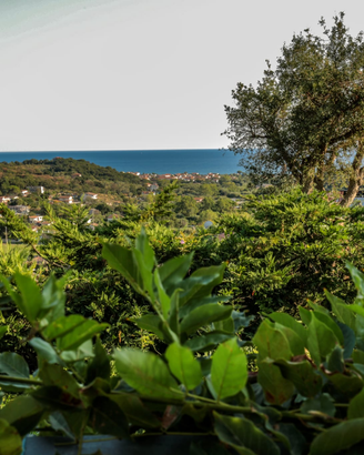 Appartamento in Cilento