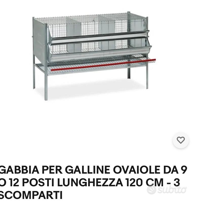 Gabbia x Galline Ovaiole - Animali In vendita a Roma