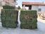 Immagine 1