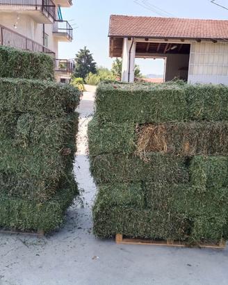 Ballette fieno erba medica