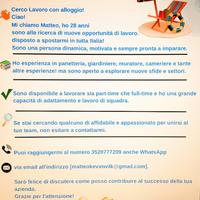 Apprendista