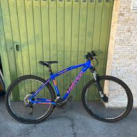 Mountain Bike Torpado Icaro 29”