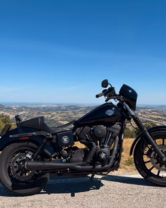 Harley Davidson Dyna super glide sport fxdxi 1450