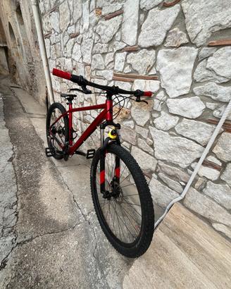 BERGAMONT REVOX