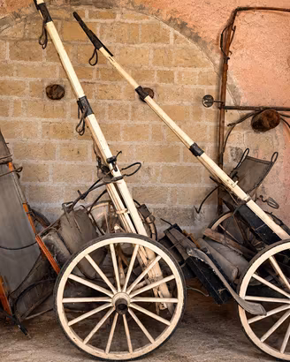Calessi d’epoca per cavalli