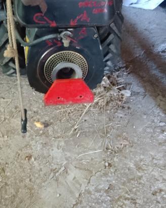 motocoltivatore   pasquali 