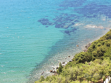 Acciaroli - Agosto e Settembre