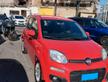 Fiat Panda 1.3 MJT 80 CV S&S Easy