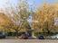 Immagine 23