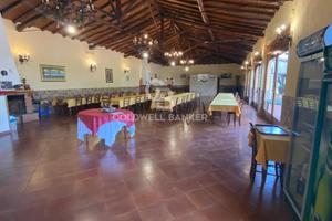 Locale commerciale - Mascali