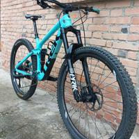 TREK REMEDY 9.7