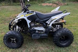 aeon cobra 400efi 