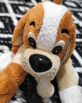 simpatico cagnolino 