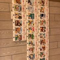 VHS nel meraviglioso mondo degli gnomi