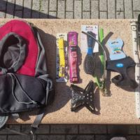 Lotto Accessori Cani