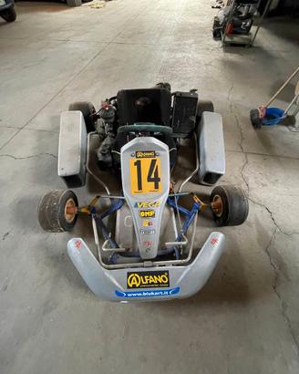 Go-Kart 100cc Ital Sistem - presa diretta