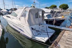Sea ray 290