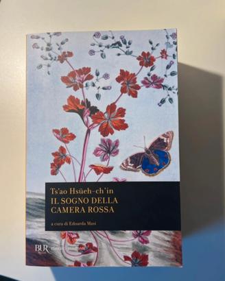 Il Sogno della Camera Rossa