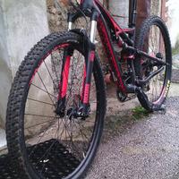 Mtb specialized