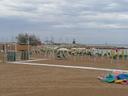 608332-mini-app-in-zona-lungomare-crotone